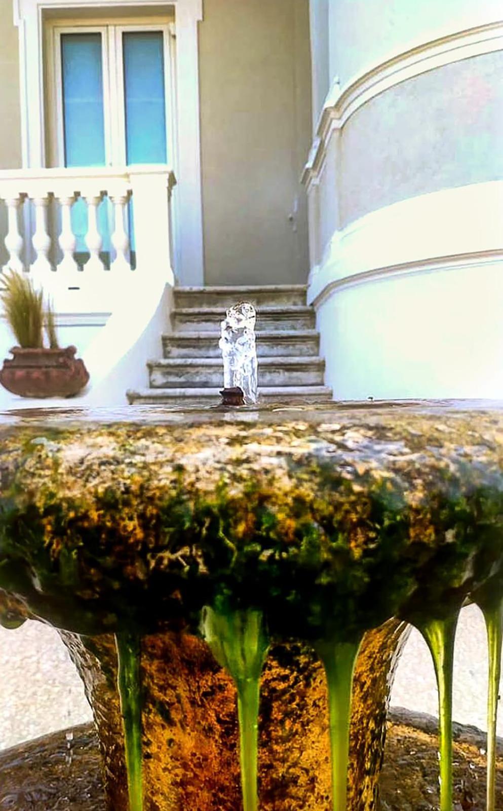 Villa La Torretta Luxury B&B - Adults Only - ริมินี ภายนอก รูปภาพ